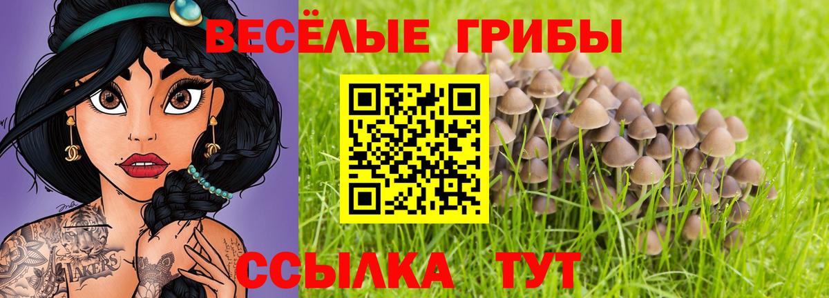 Подольск  Псилоцибиновые грибы мицелий  купить наркотики цена  Вход с VPN 