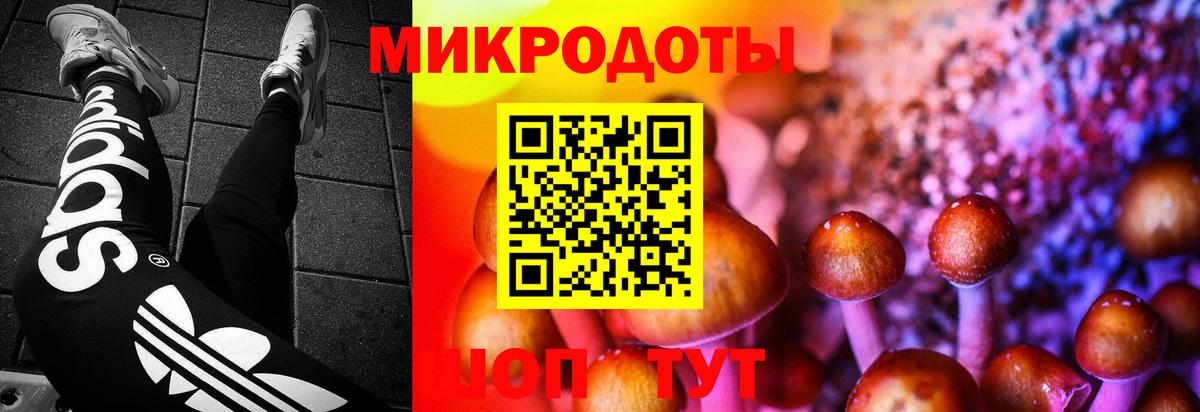 Галлюциногенные грибы Cubensis Подольск